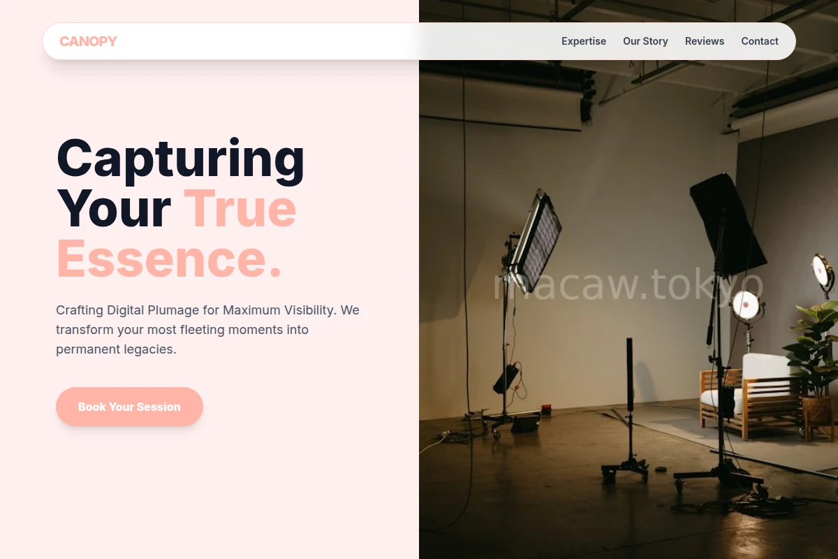 Plumage Photography Studio
